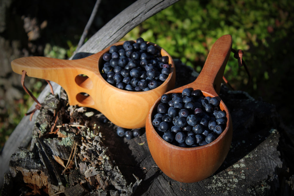 http://www.woodenearth.com/cdn/shop/articles/wooden-cup-and-berries_1024x1024.jpg?v=1676649598