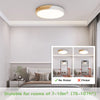 IRALAN Modern Ceiling Lamp