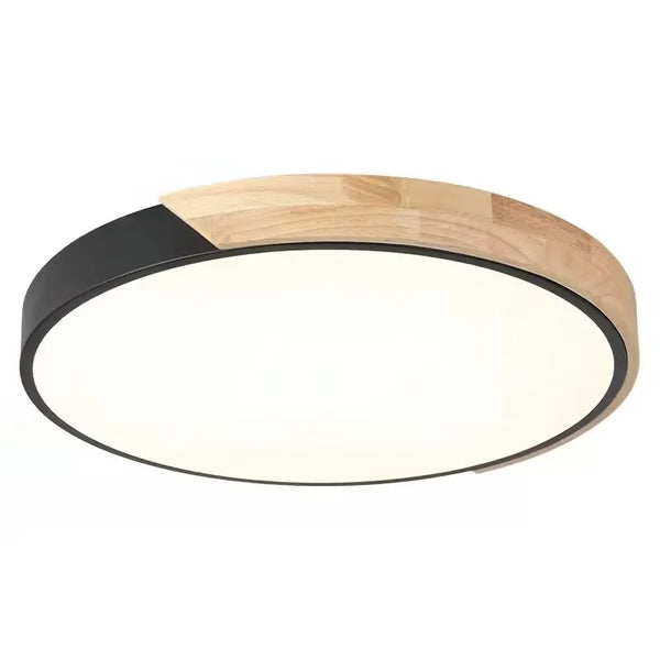 IRALAN Modern Ceiling Lamp